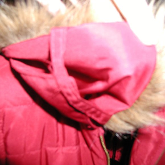 Vest - Picture 7 of 8